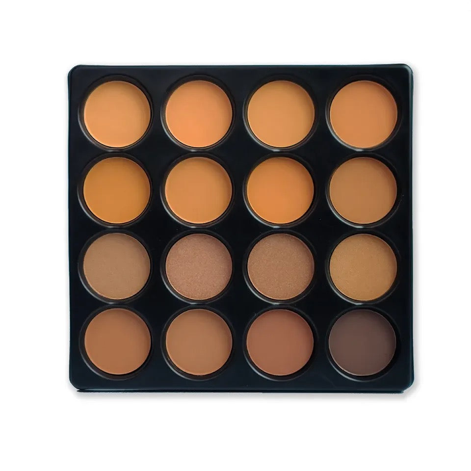 professional contour palette